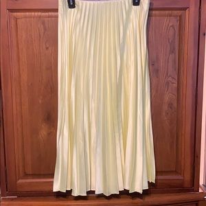 Long pleated skirt